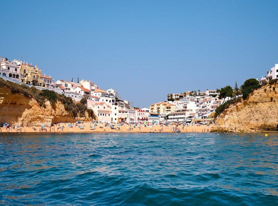 Notable Films and Performances