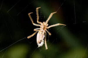 Progression Pitfalls