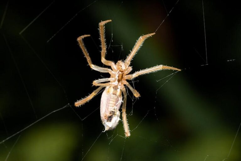 Progression Pitfalls