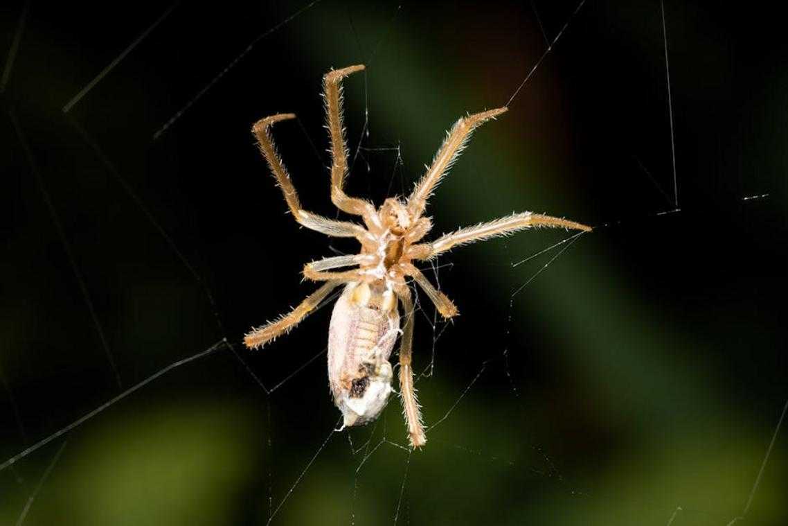 Mastering Skill Trees and Progression Systems in Modern Games