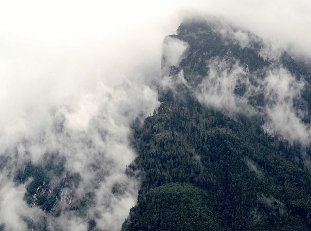 Where to Get the Best Rate: Comparing Your Conversion Options