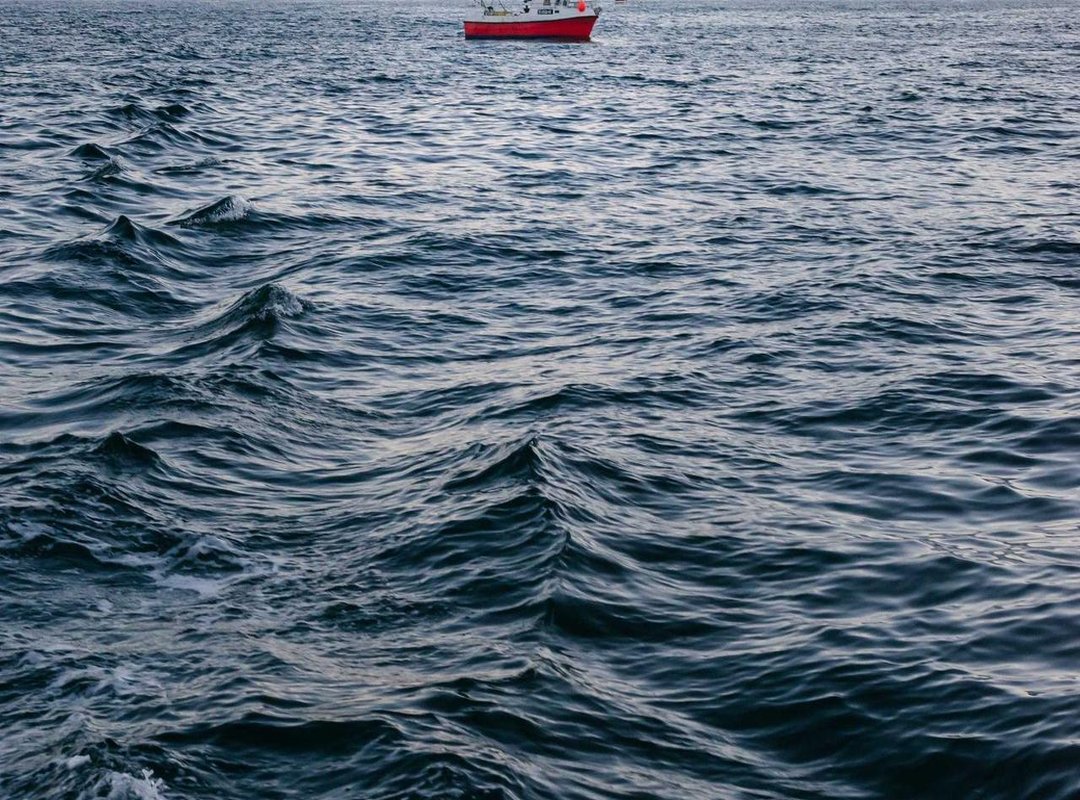 From Novice to Pro: Creating Your Own Custom Poses in Gacha Life