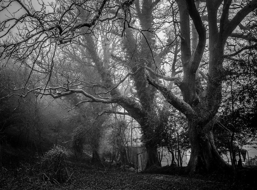 Advanced Tactics: From Beginner to Alpha Wolf