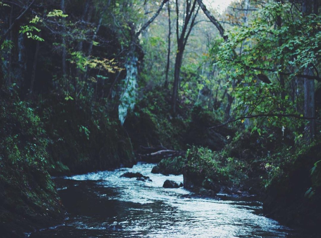 Inside Her Gaming Setup: Gear and Optimization Hacks