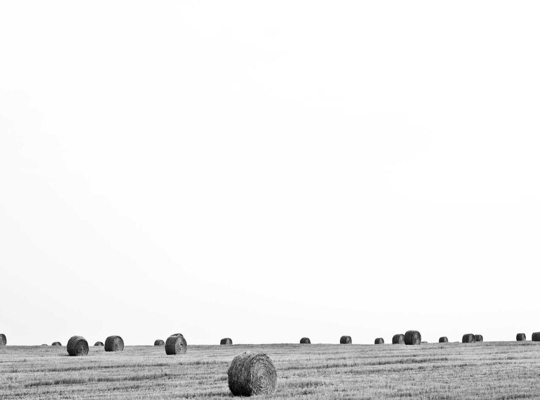 The Scholarly Perspective: Separating Authentic Interpretation from Superstition